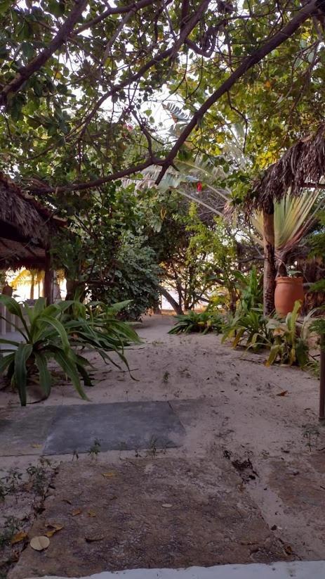 Oceano Guest house